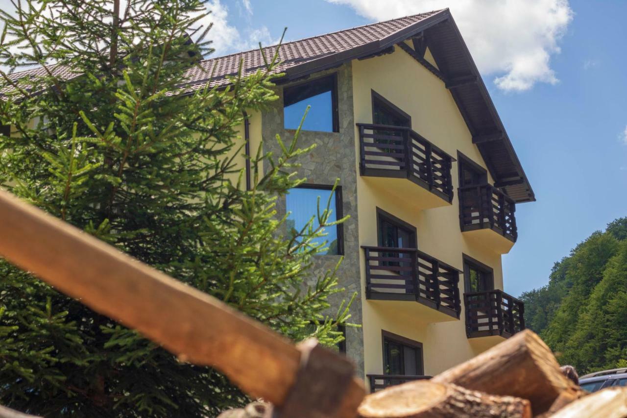 Casa Valea Cernei Hotel Isverna Eksteriør billede